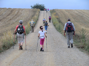 Cammino di Santiago de Compostela