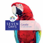 Seven Days Tour Operator