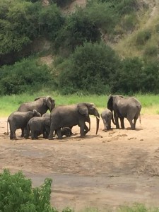 Tanzania