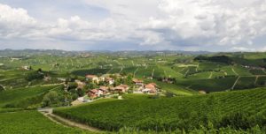 Slow trakking nelle Langhe