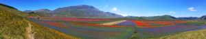 Castelluccio di Norcia