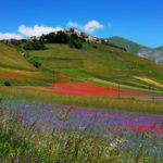 Castelluccio di Norcia