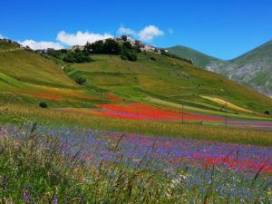 Castelluccio di Norcia