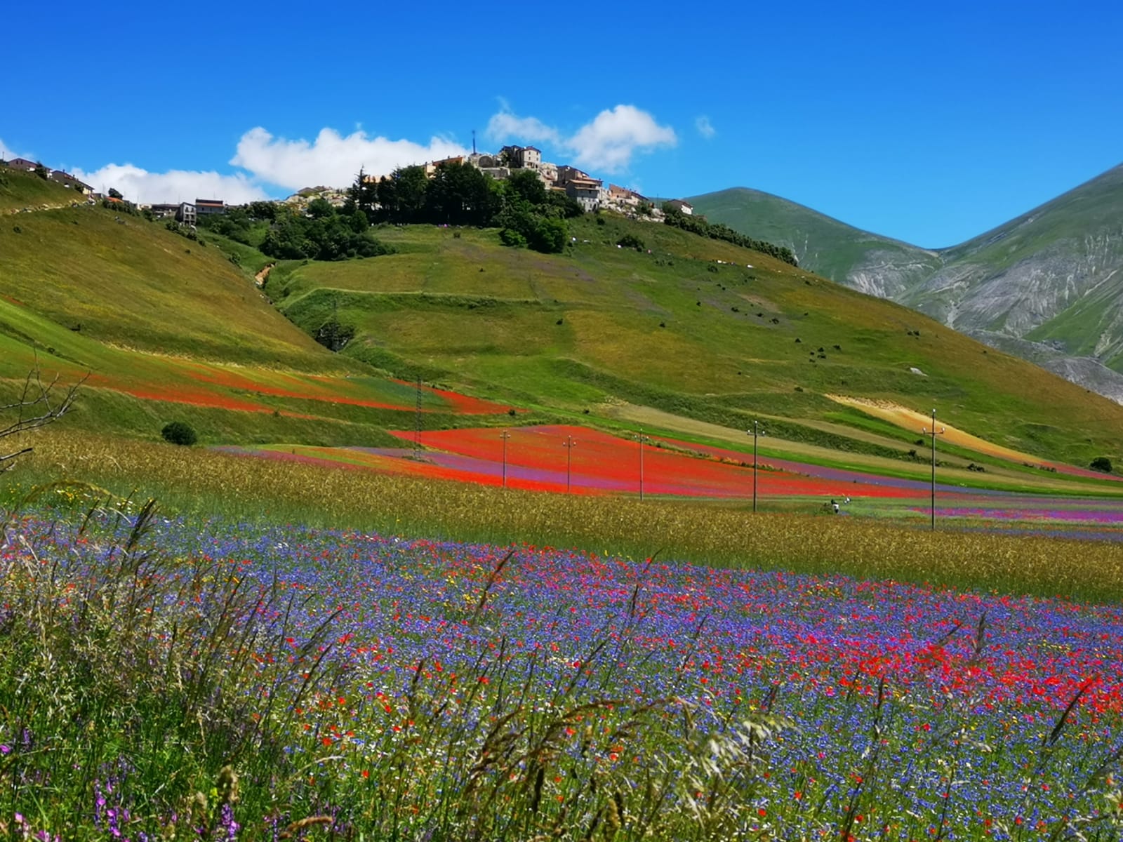 Castelluccio di Norcia
