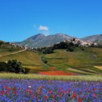 UMBRIA E LA FIORITURA DI CASTELLUCCIO DI NORCIA
