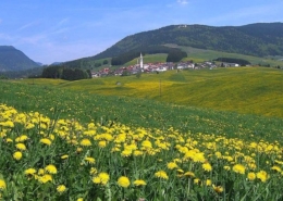 asiago