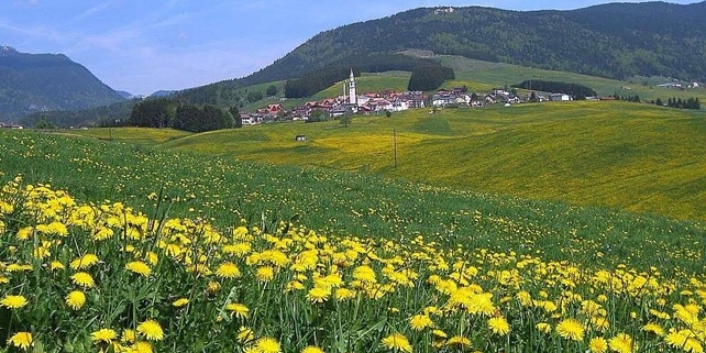 asiago
